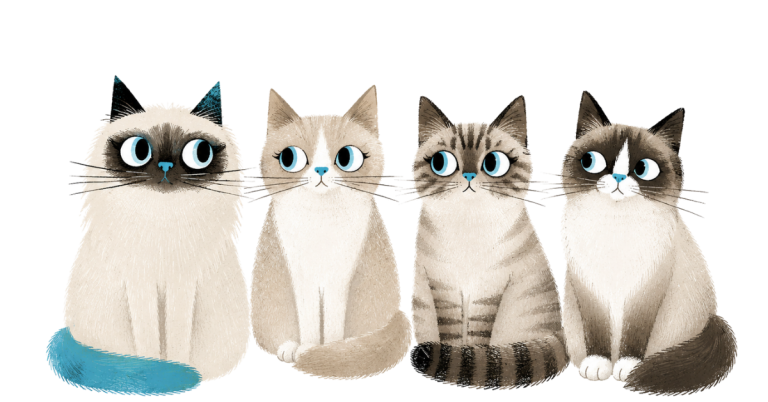 v.l.n.r. Rumi, Nala, Ami